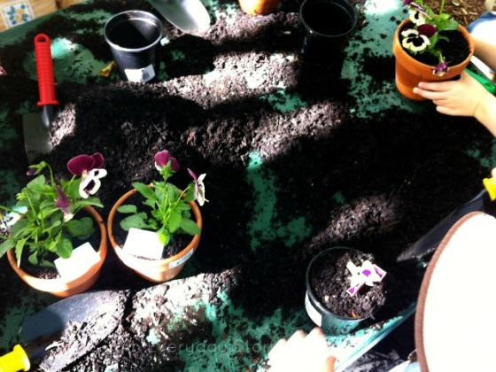 Gardening with Children - potting plants [An Everyday Story]